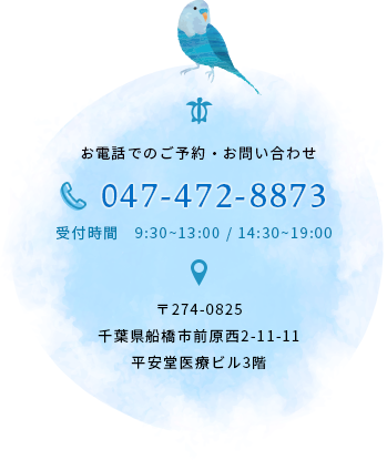 電話番号:047-472-8873、住所:千葉県習志野市津田沼1-10-30イトーヨーカドー津田沼店5階